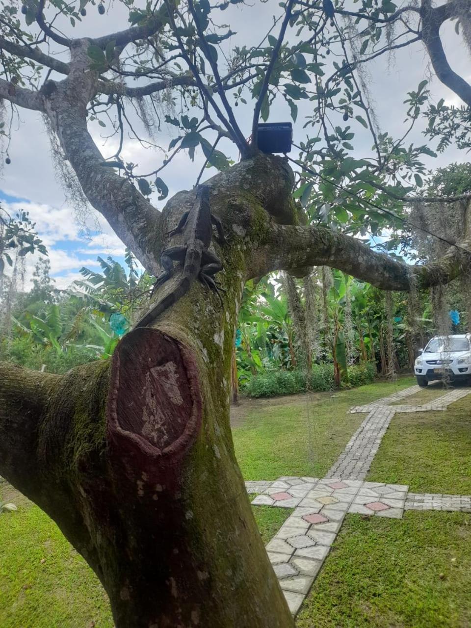 Cabanas La Miranda Filandia Exterior foto