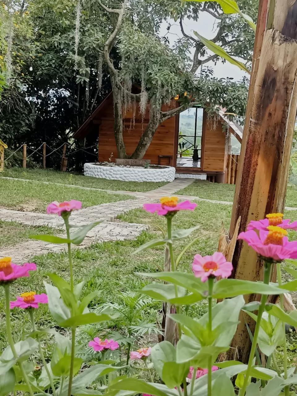 Cabanas La Miranda Filandia Exterior foto